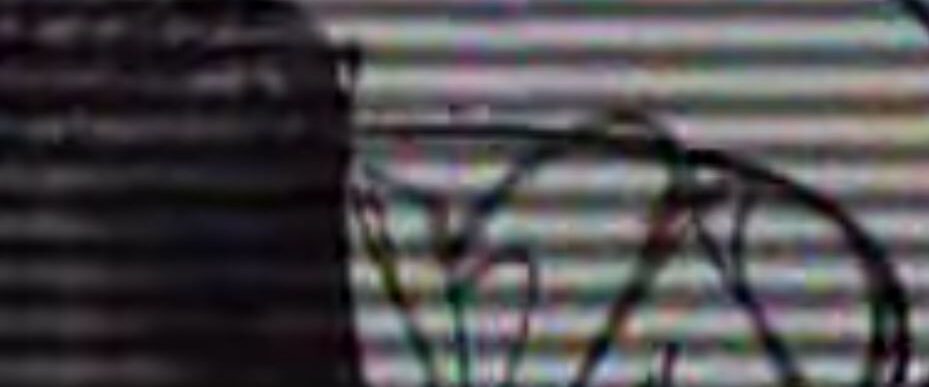 atomonevid